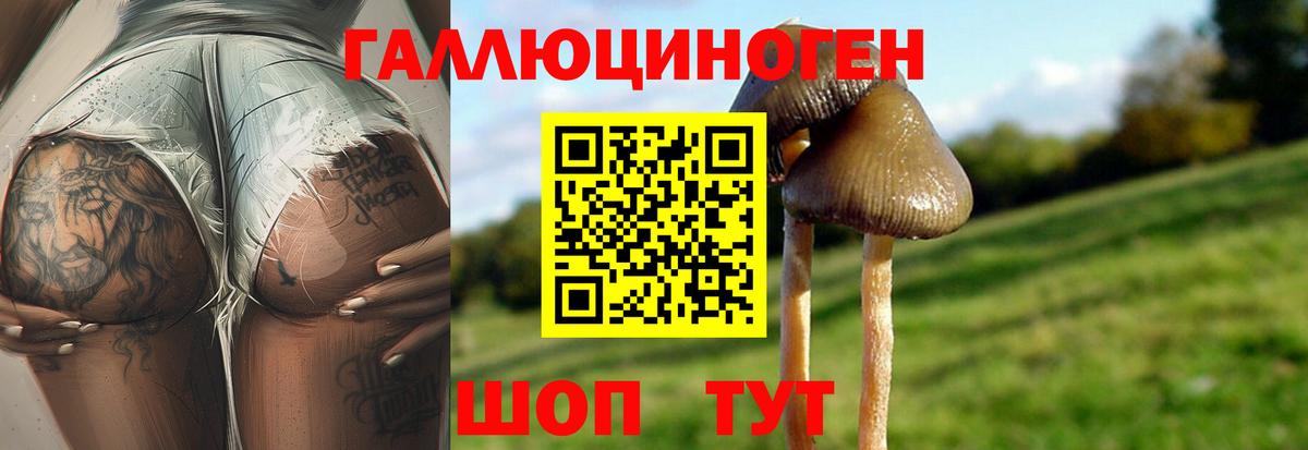 Галлюциногенные грибы мицелий Уссурийск
